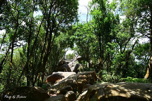 0531 3-龍船岩10.jpg