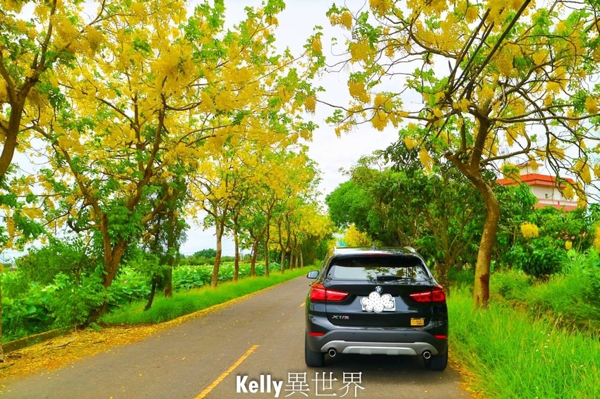 20200607-IMG_0999-1800.jpg 20200607-IMG_0999-1800.jpg