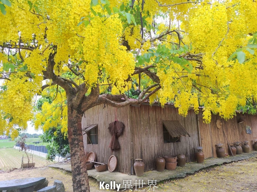 20200607-42627-1800.jpg 20200607-42627-1800.jpg