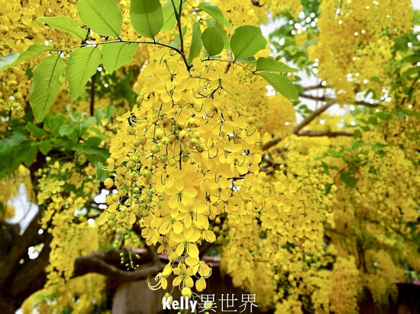 20200608-S__60776526-1800.jpg 20200608-S__60776526-1800.jpg