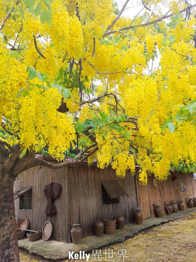 20200607-P_20200607_130831-1800.jpg 20200607-P_20200607_130831-1800.jpg