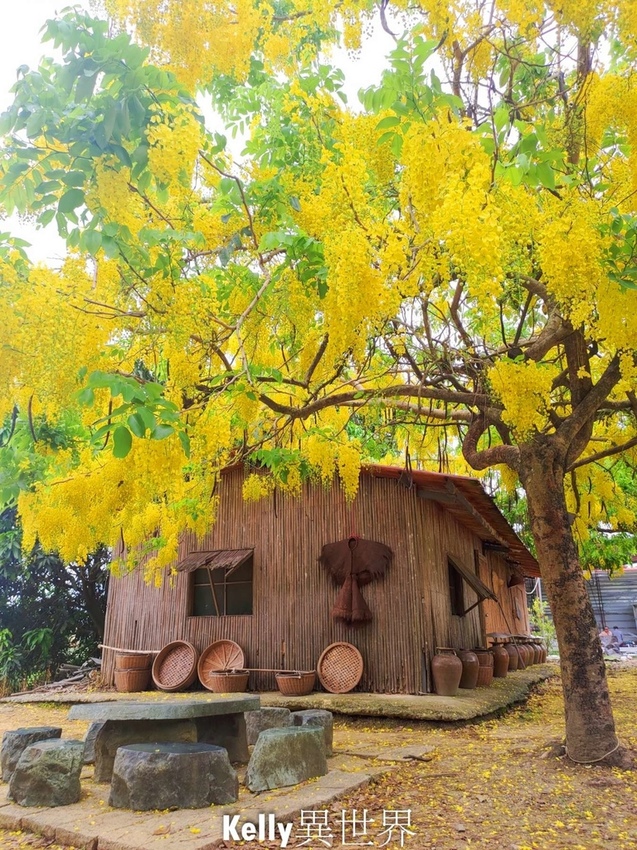 必訪台南自然系景點：大山宮（山子腳） / WalkerLand窩客島整理提供 未經許可不可轉載