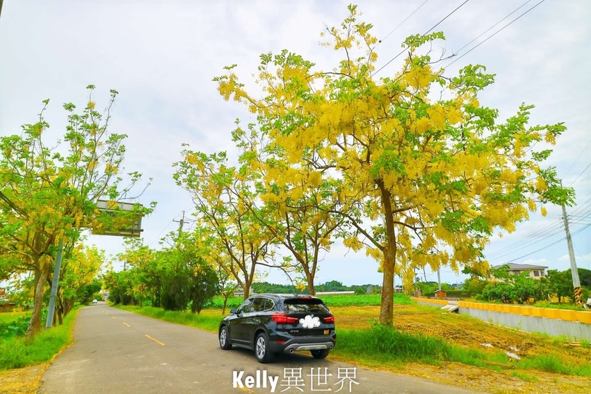 20200607-IMG_1009-1800.jpg 20200607-IMG_1009-1800.jpg