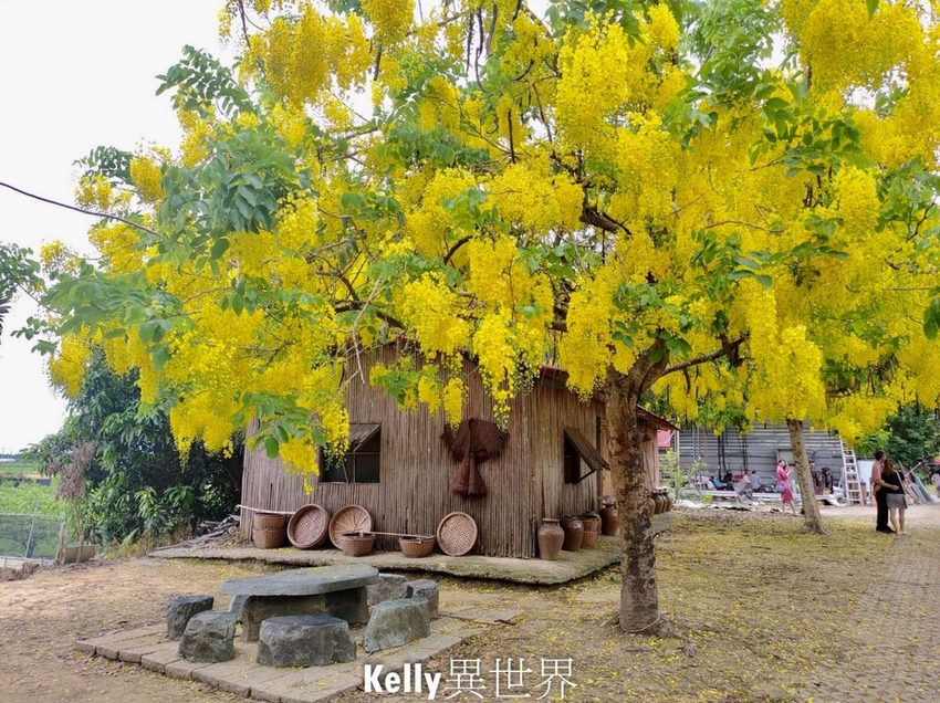 20200608-S__60776524-1800.jpg 20200608-S__60776524-1800.jpg