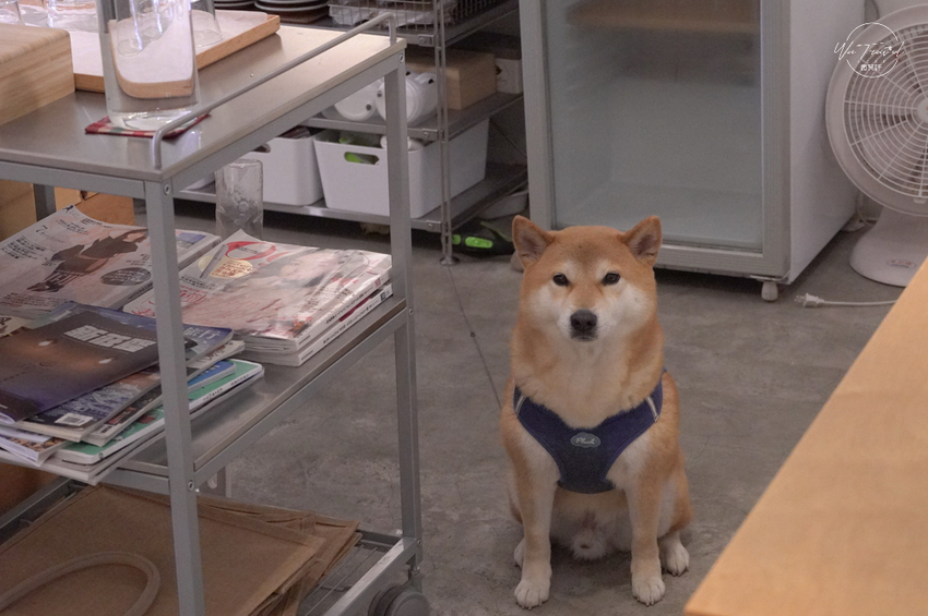 新北新莊咖啡廳 小森咖啡廳 mori coffee日系文青小清新不限時老宅咖啡廳 - 微笑娃生活旅行