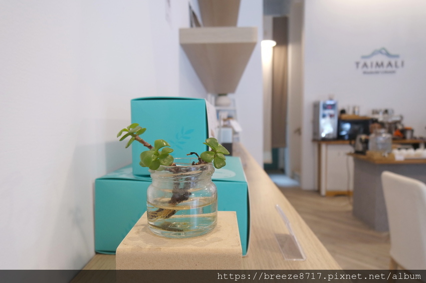 SAM_2917.jpg SAM_2917.jpg