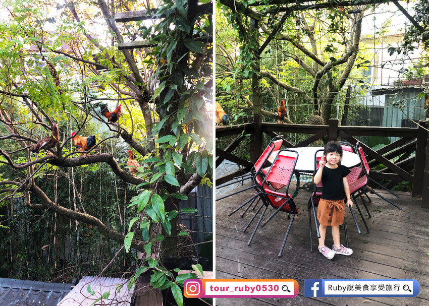 【桃園龍潭景觀餐廳】山水緣庭園景觀餐廳-附菜單，用餐環境幽美