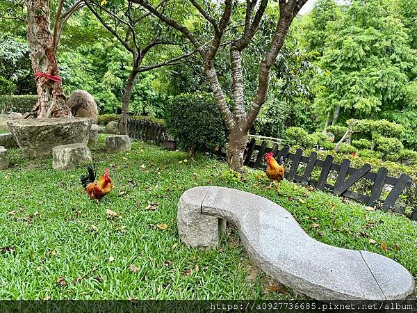 桃園·龍潭必吃餐廳｜山水緣庭園景觀餐廳·有戶外大草原｜首推客家美食｜家庭聚餐首選｜親子餐廳· 隱身山裡的古厝秘境餐廳