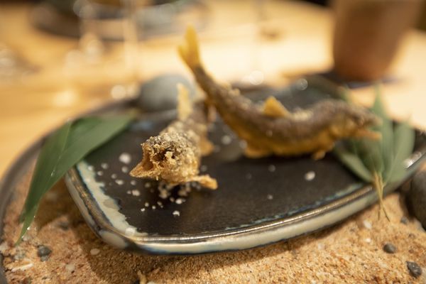 彧割烹 (2020JUN晚餐) - 23