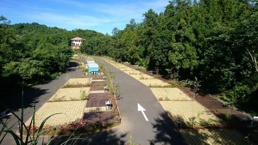 卡爾小鎮｜早鳥八折起！清境星空露營車、星空夢幻帳-【自搭帳】平面營位 7.5m*8m-3