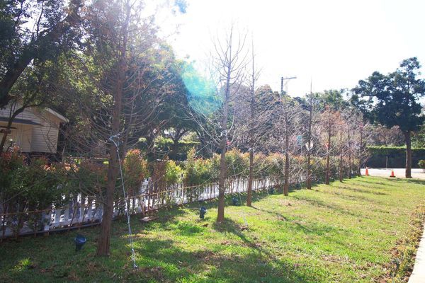 【台北美食】The cafe' by 想陽明山-放下都市繁忙悠閒自在的莊園咖啡店