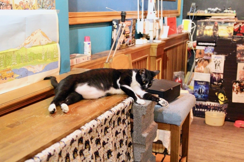 台北中山商圈咖啡廳1+1 Together Republic 寵物友善、獨立包廂 慵懶放鬆的小空間