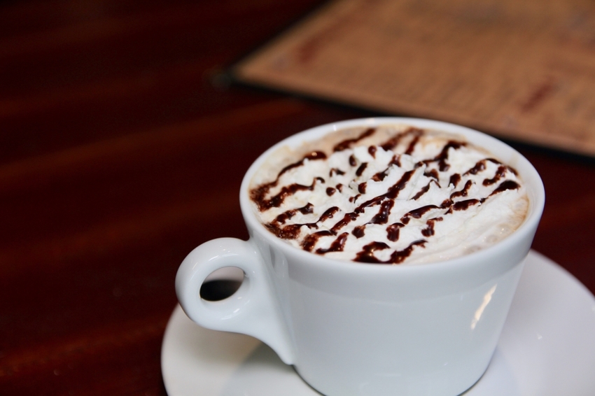 台北中山商圈咖啡廳1+1 Together Republic 寵物友善、獨立包廂 慵懶放鬆的小空間