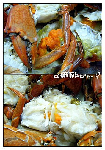 2010-9-13 台北~89活海產