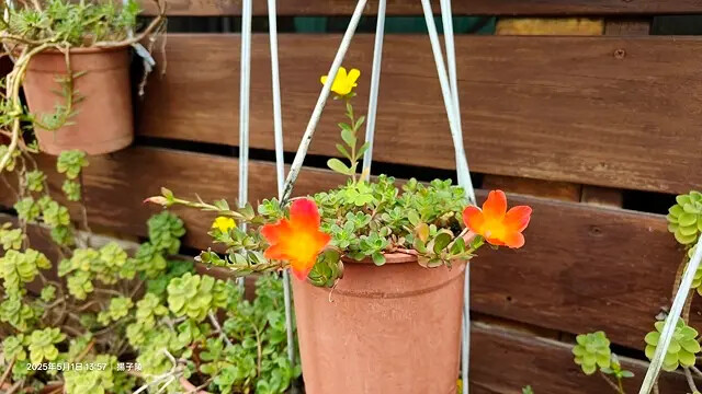 2025桃園巴耐無菜單料理、Ba Nai 品味藝術料理，用原