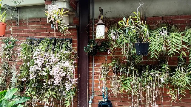 2025桃園巴耐無菜單料理、Ba Nai 品味藝術料理，用原