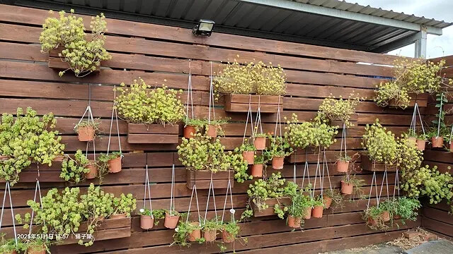 2025桃園巴耐無菜單料理、Ba Nai 品味藝術料理，用原