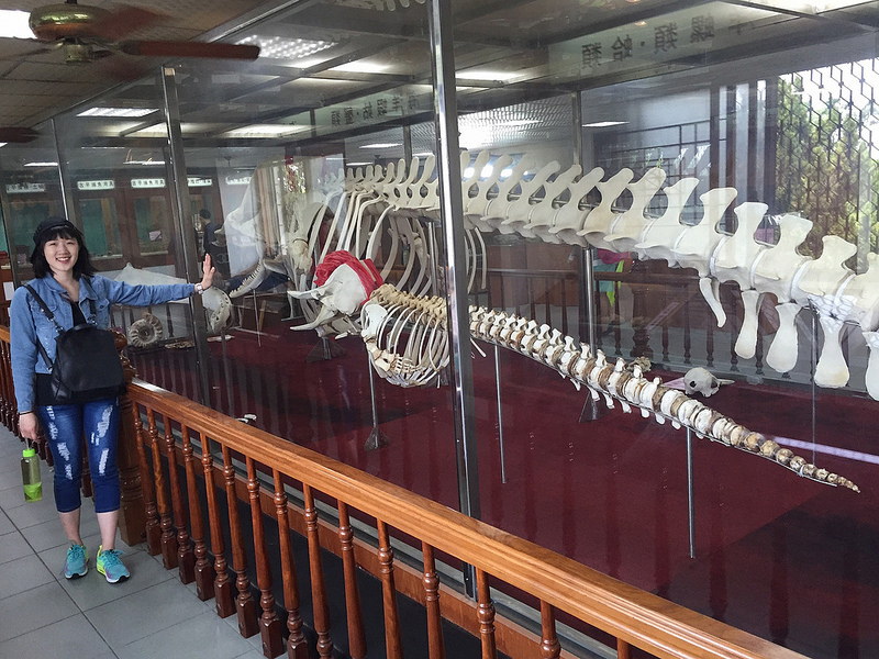 台南行_908 台南行_908