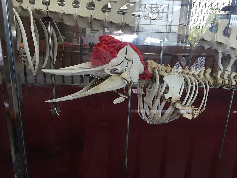 台南行_9934 台南行_9934