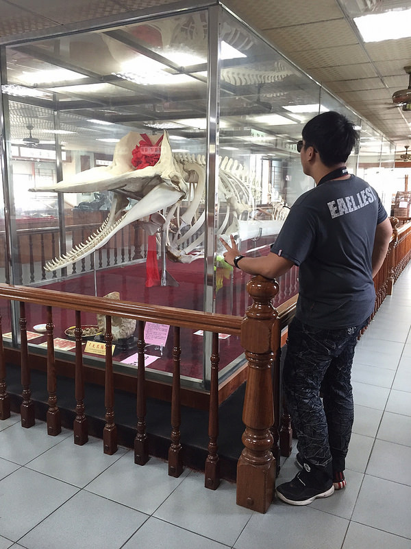 台南行_4798 台南行_4798