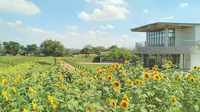 中壢社大周四趴趴走[后里花田綠廊]曬到快冒煙啦!!