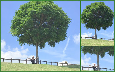 中壢社大周四趴趴走[后里花田綠廊]曬到快冒煙啦!!