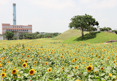 中壢社大周四趴趴走[后里花田綠廊]曬到快冒煙啦!!
