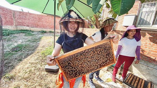 IMG_514C830D-F40D-422A-895D-DE21EF489F38_L0_001-1601977641-117276-1889947178