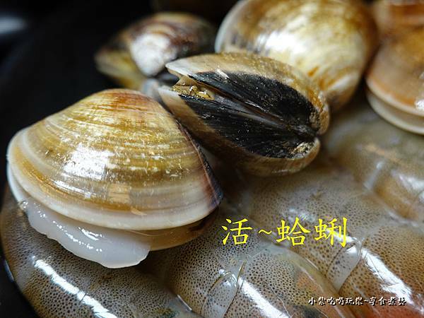 活蛤蜊-蒙古紅中壢店.jpg