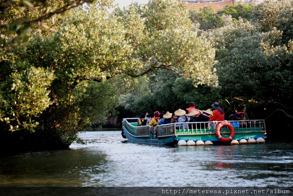 IMG_7131.JPG IMG_7131.JPG