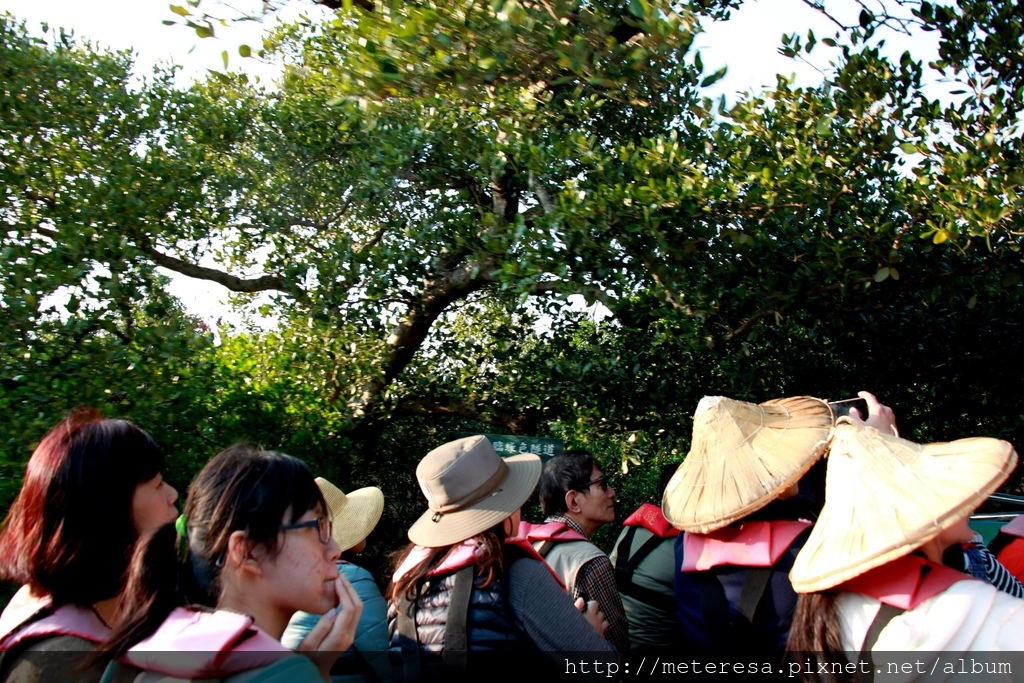 IMG_7133.JPG IMG_7133.JPG