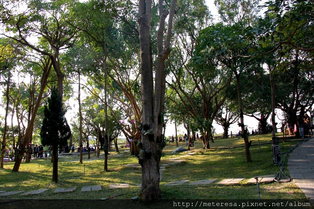 IMG_7096.JPG IMG_7096.JPG