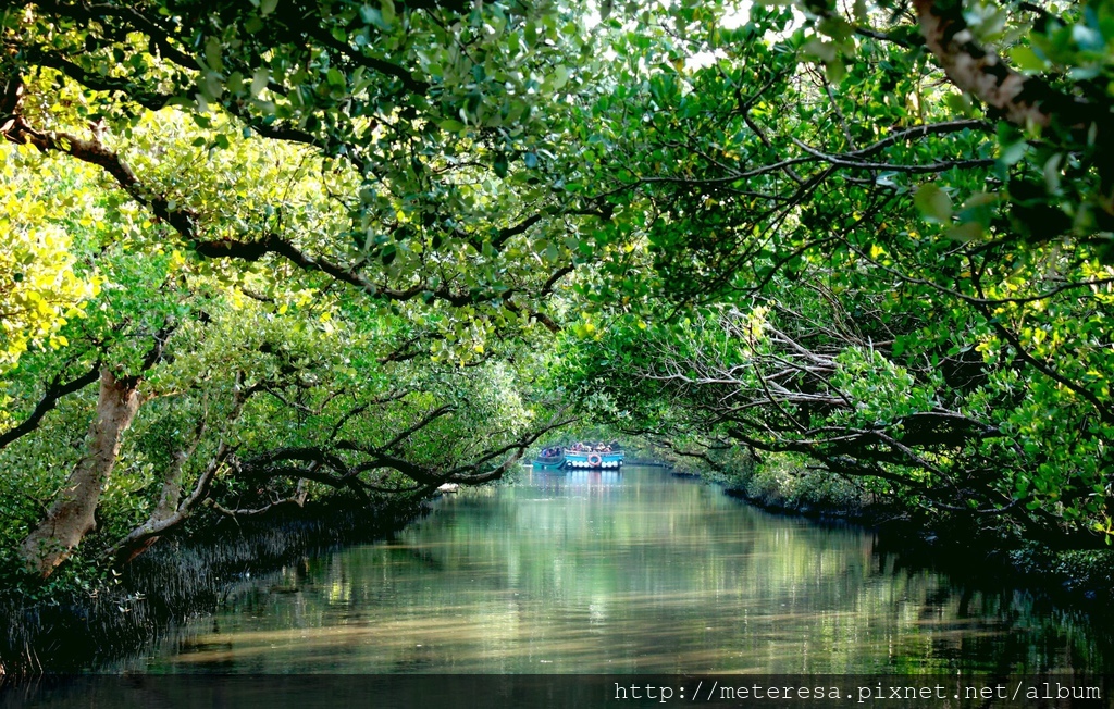 IMG_7161.JPG IMG_7161.JPG