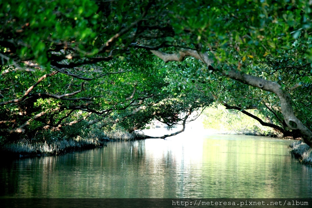 IMG_7142.JPG IMG_7142.JPG