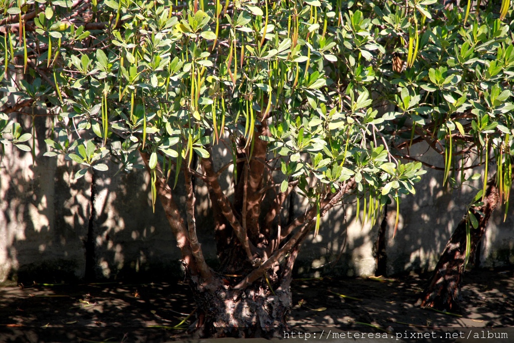 IMG_7051.JPG IMG_7051.JPG