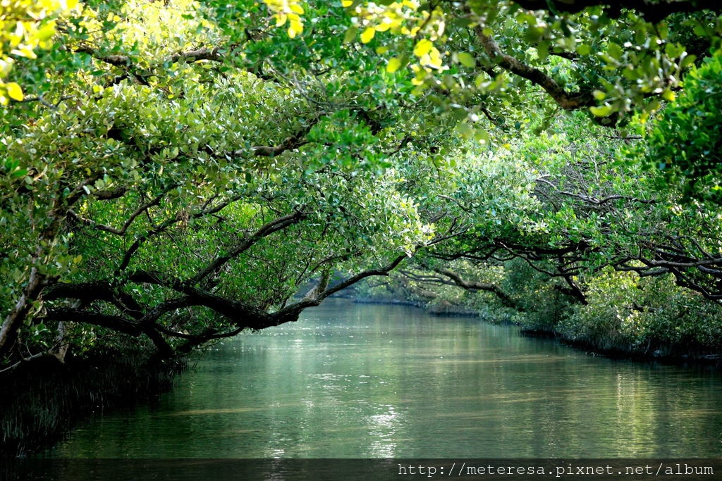 IMG_7148.JPG IMG_7148.JPG