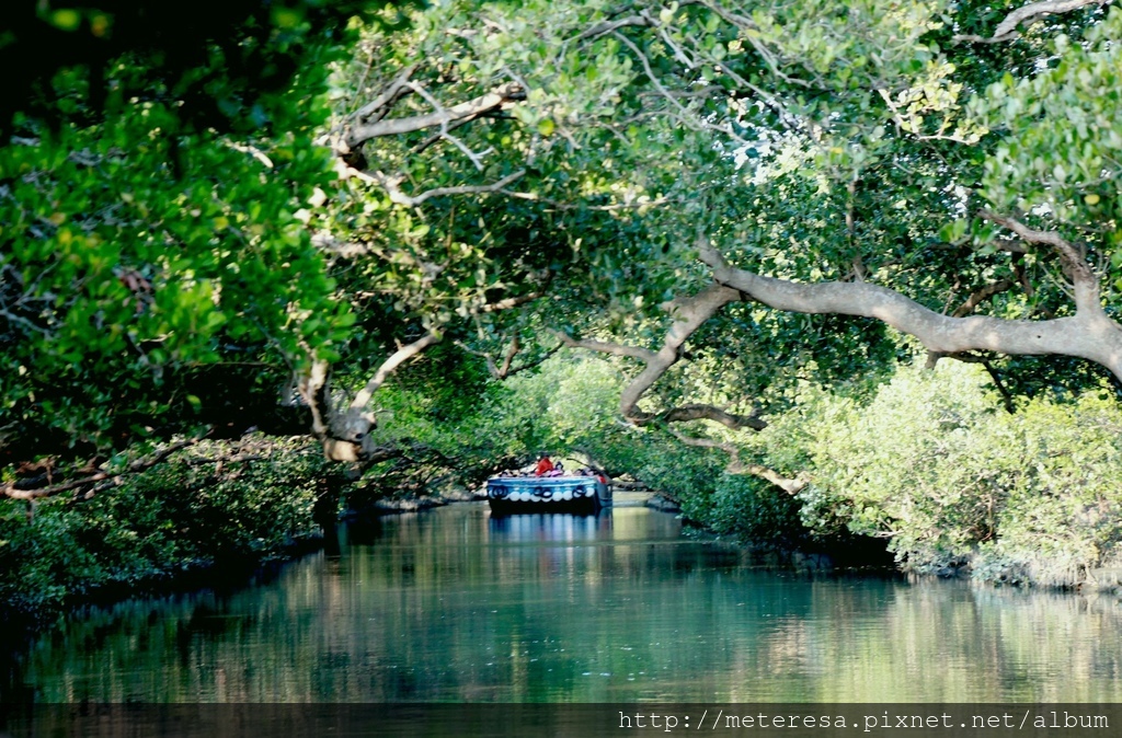 IMG_7137.JPG IMG_7137.JPG