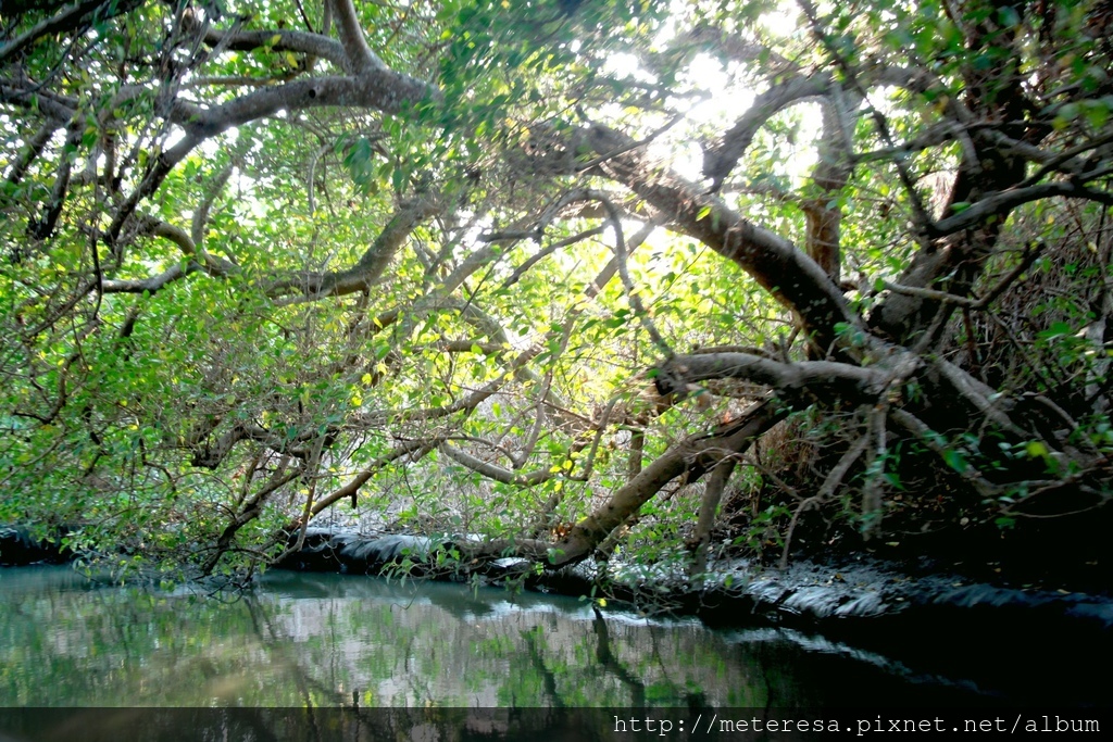 IMG_7170.JPG IMG_7170.JPG