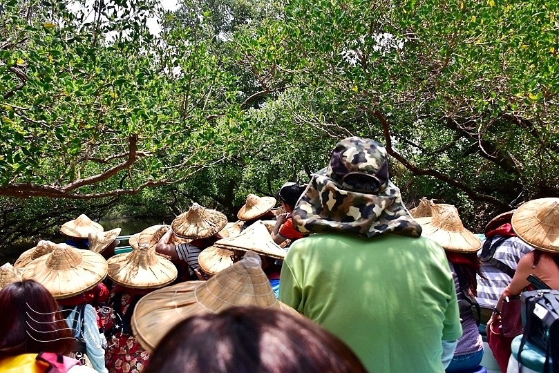 台版亞馬遜河:台南‧台江國家公園‧四草紅樹林綠色隧道