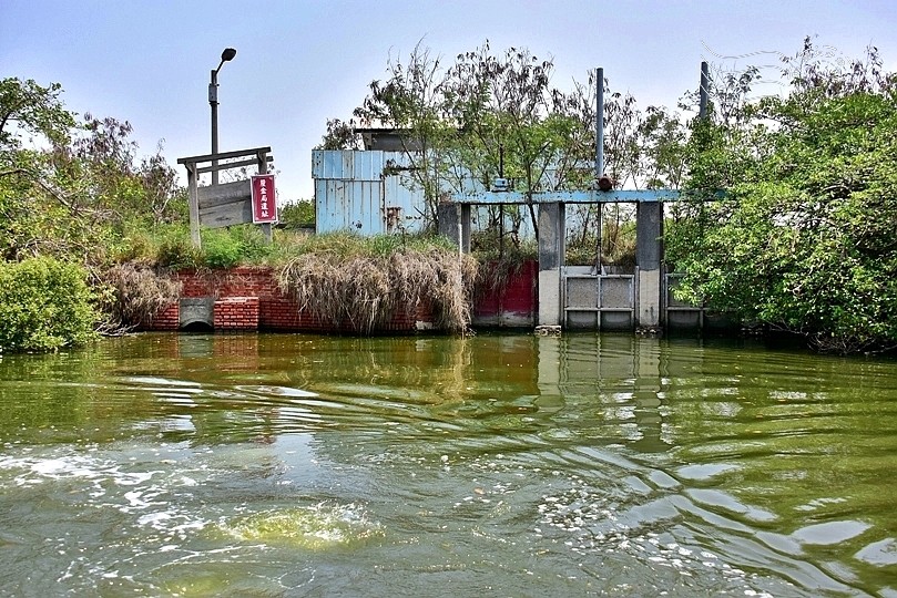 台版亞馬遜河:台南‧台江國家公園‧四草紅樹林綠色隧道