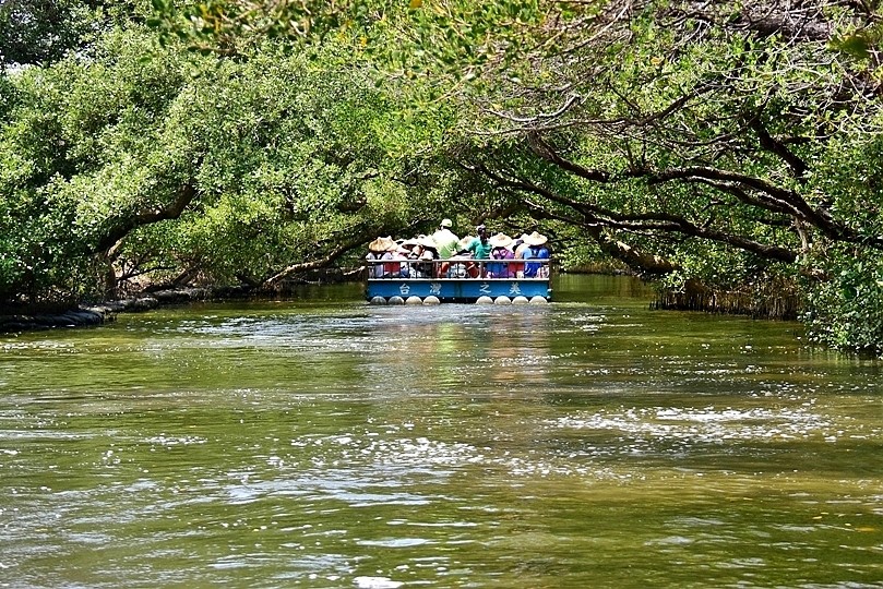 台版亞馬遜河:台南‧台江國家公園‧四草紅樹林綠色隧道