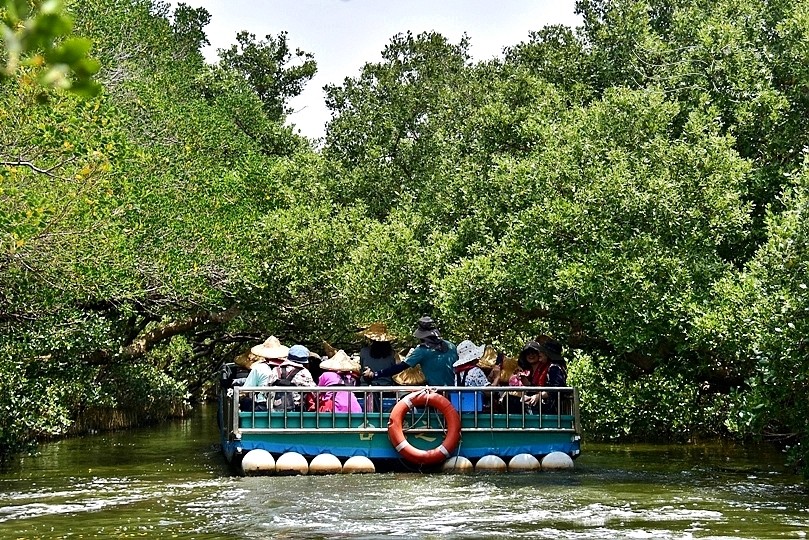台版亞馬遜河:台南‧台江國家公園‧四草紅樹林綠色隧道
