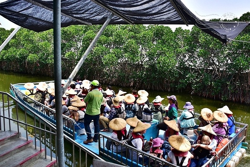 台版亞馬遜河:台南‧台江國家公園‧四草紅樹林綠色隧道