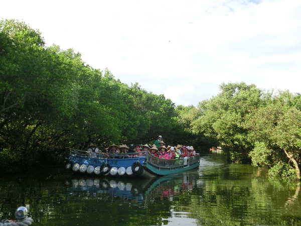 四草綠色隧道：四草綠色隧道