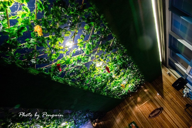 PhotoCap_024 PhotoCap_024