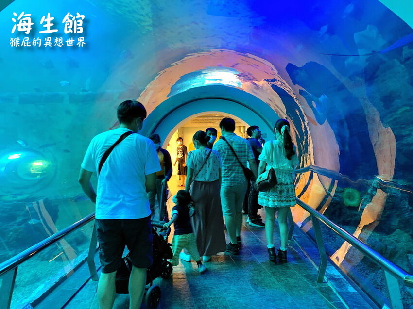 全台最大屏東墾丁海生館!偶像劇必拍景點!小白鯨超級可愛很會自拍,工讀生出來歐!