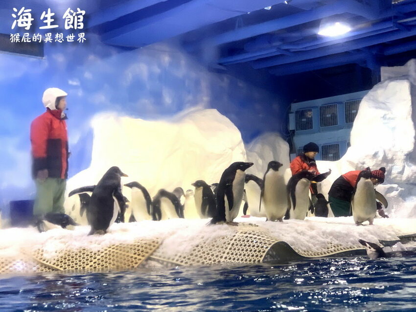 全台最大屏東墾丁海生館!偶像劇必拍景點!小白鯨超級可愛很會自拍,工讀生出來歐!