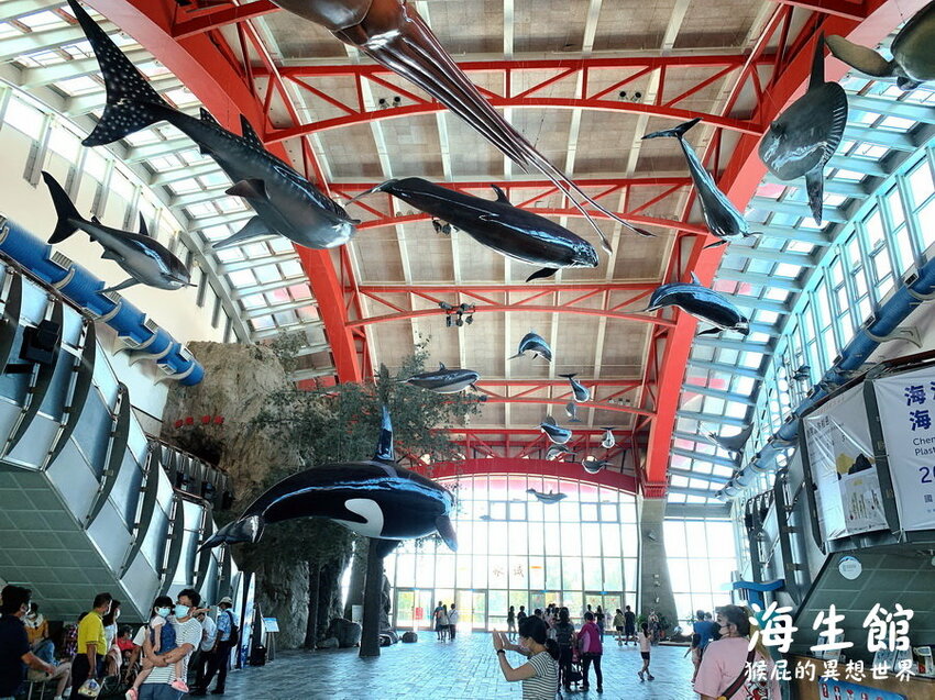 全台最大屏東墾丁海生館!偶像劇必拍景點!小白鯨超級可愛很會自拍,工讀生出來歐!