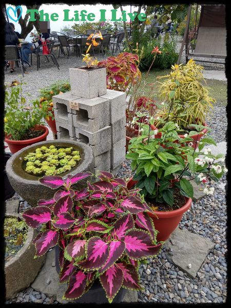 雲萊山莊 009.jpg