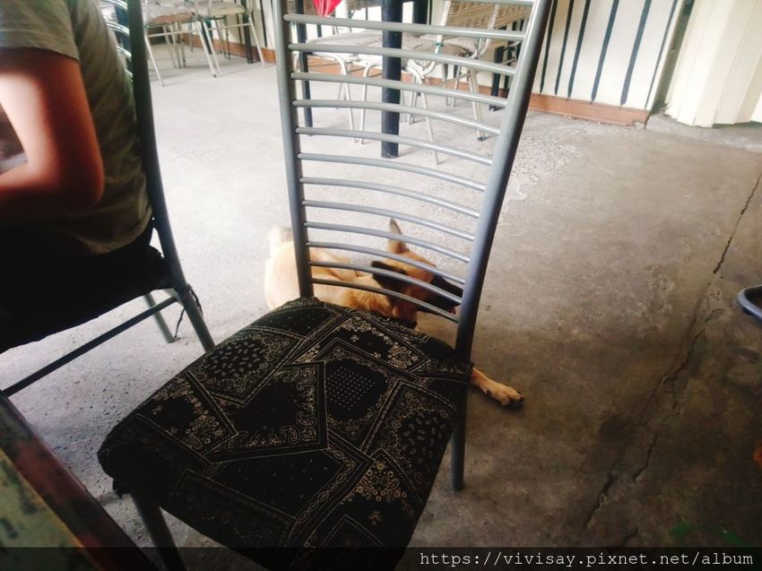 花蓮無菜單料理 流流社 (30).jpg 花蓮無菜單料理 流流社 (30).jpg